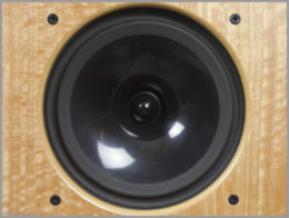 harbeth m40.1 speakers review 08 monitor 40.1 midrange driver radial 2